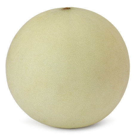 Wholesale BoxNCase Case Honeydew Melon- Bulk