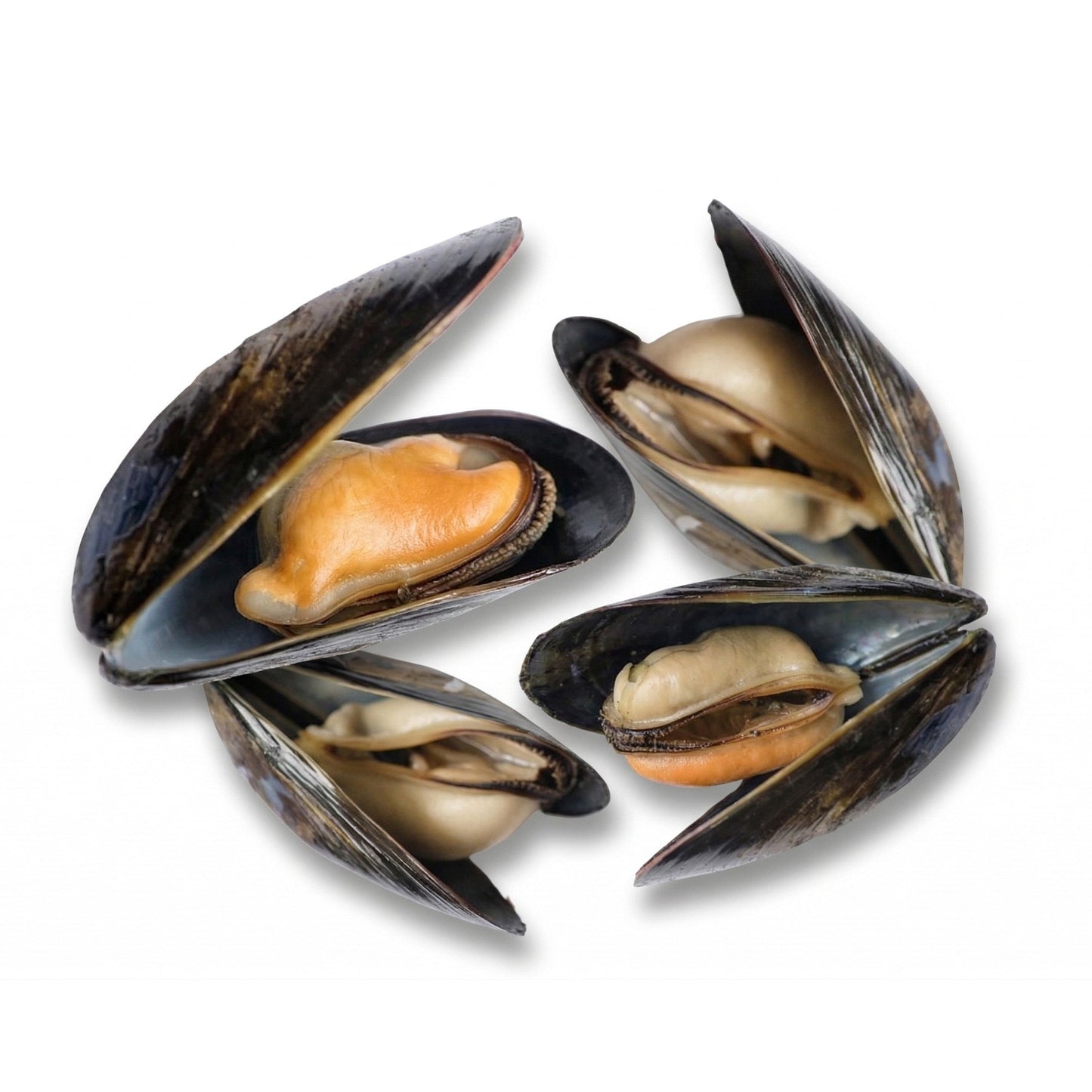 Wholesale Dix Farms Bangs Island Mussels 10lb- Bulk
