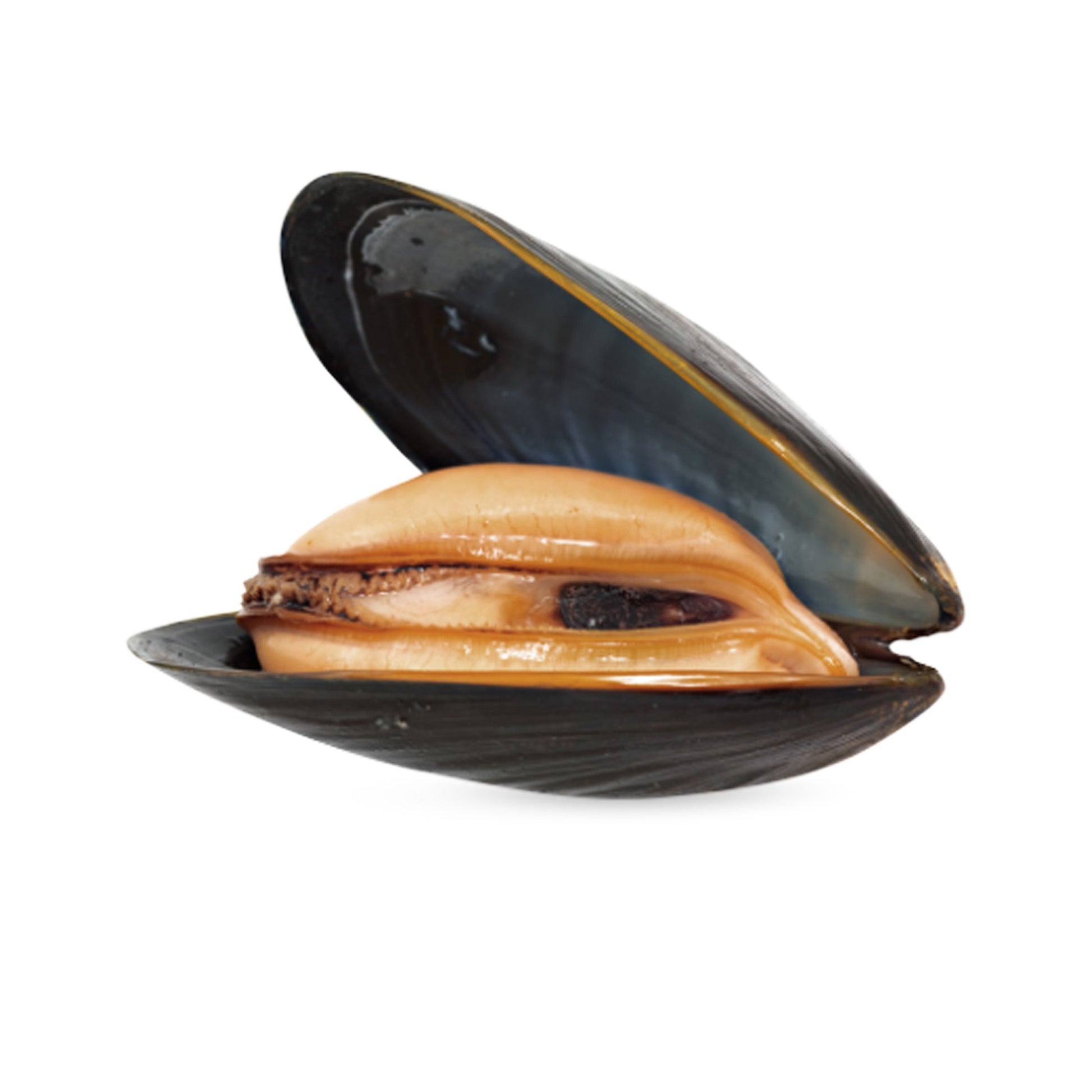 Wholesale Dix Farms Pemaquid Mussels 10lb- Bulk