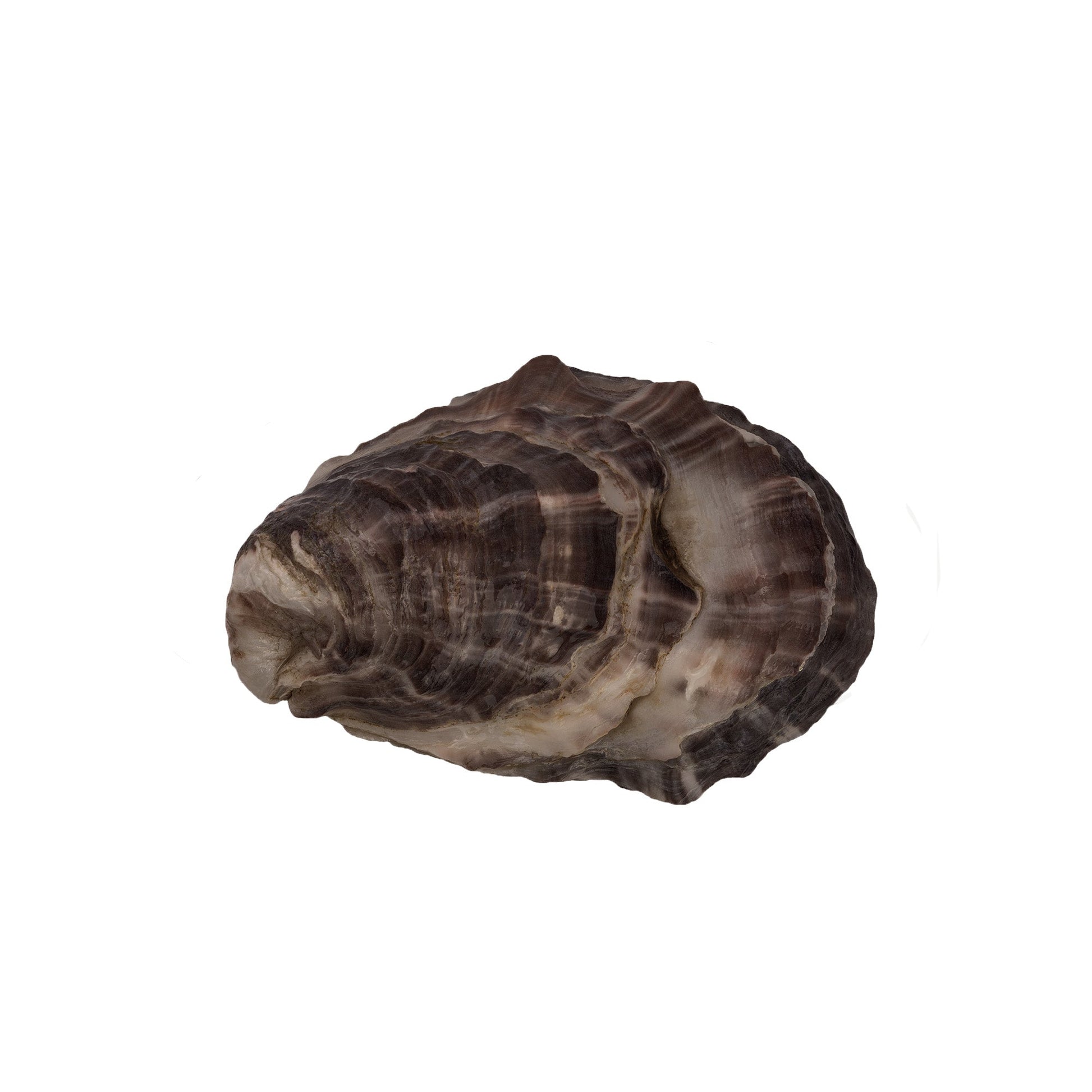 Wholesale Dix Farms Sweet Petite Oysters- Bulk