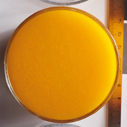 Wholesale Boiron 100% Apricot Puree 1kg- Bulk