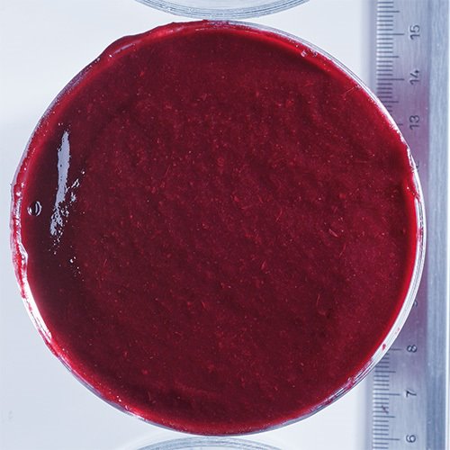 Wholesale Boiron Fruit Puree 100%: Blackcurrant 1kg 1kg- Bulk
