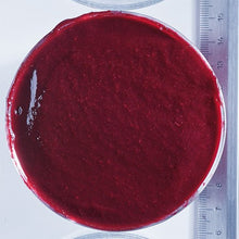 Wholesale Boiron Fruit Puree 100%: Blackcurrant 1kg 1kg- Bulk