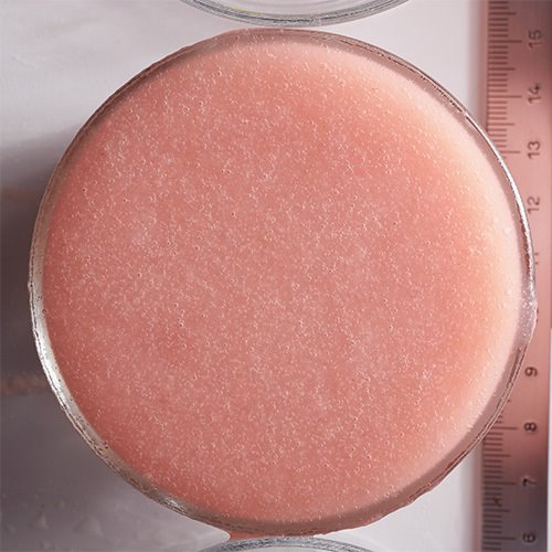 Wholesale Boiron 100% White Peach Puree 1kg- Bulk