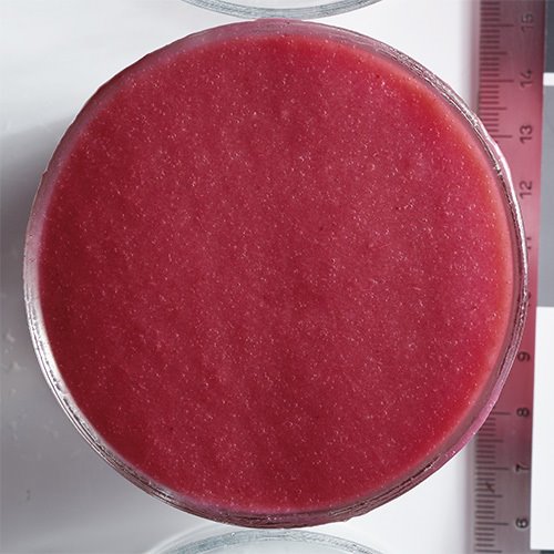 Wholesale Boiron Blood Peach Puree 1kg- Bulk