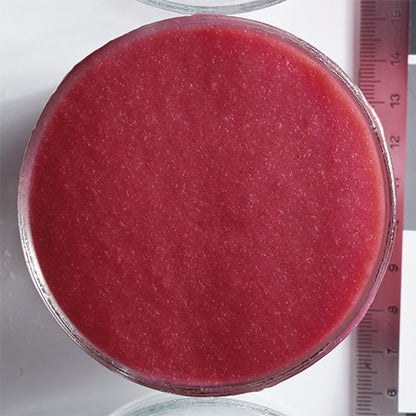 Wholesale Boiron Blood Peach Puree 1kg- Bulk