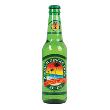 Wholesale Reeds Premium Ginger Brew 12 Oz Bottle- Bulk