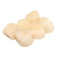 Wholesale Dix Farms Sea Scallops Dry U/12 8lb- Bulk