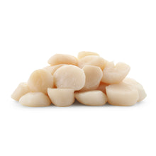 Wholesale Dix Farms Sea Scallops Dry 10/20 8lb- Bulk