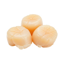 Wholesale Dix Farms Sea Scallops U10 Hokkaido Japan 8lb- Bulk