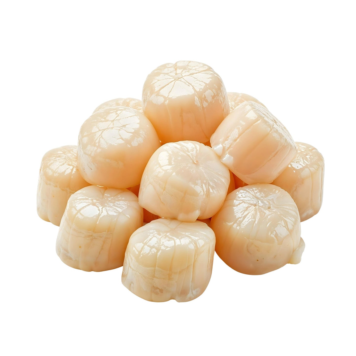 Wholesale Dix Farms Sea Scallops U/12 Hokkaido Japan 8lb- Bulk