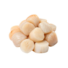 Wholesale Dix Farms Sea Scallops 10/20 Hokkaido Japan 8lb- Bulk