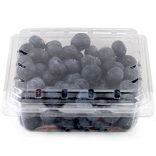 Wholesale Alpine Case Blueberry- Bulk