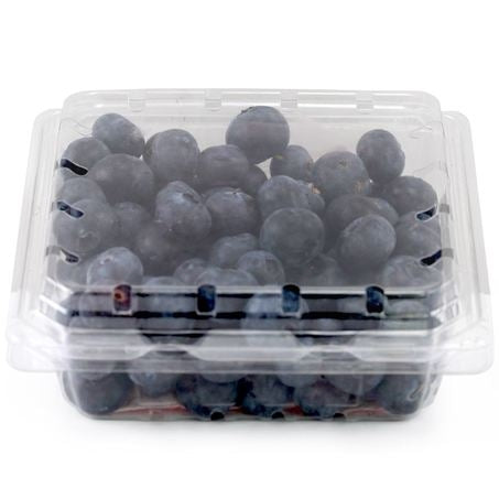 Wholesale Alpine Case Blueberry- Bulk