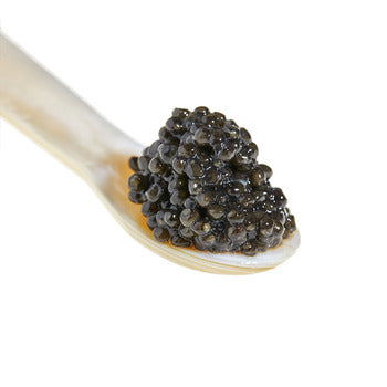 Wholesale Sasanian Siberian Sturgeon Caviar 8.75oz- Bulk