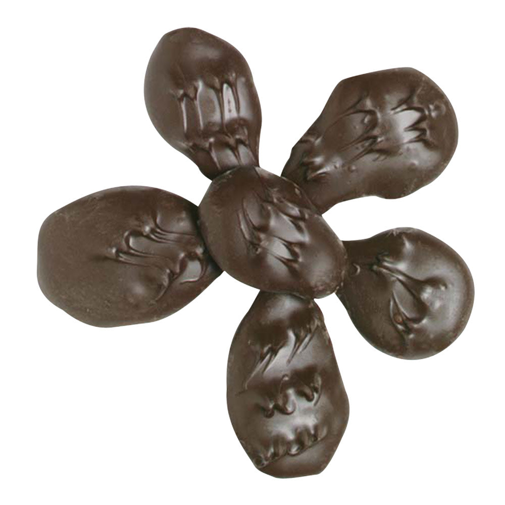 Wholesale BoxNCase Dark Chocolate Covered Ginger- Bulk