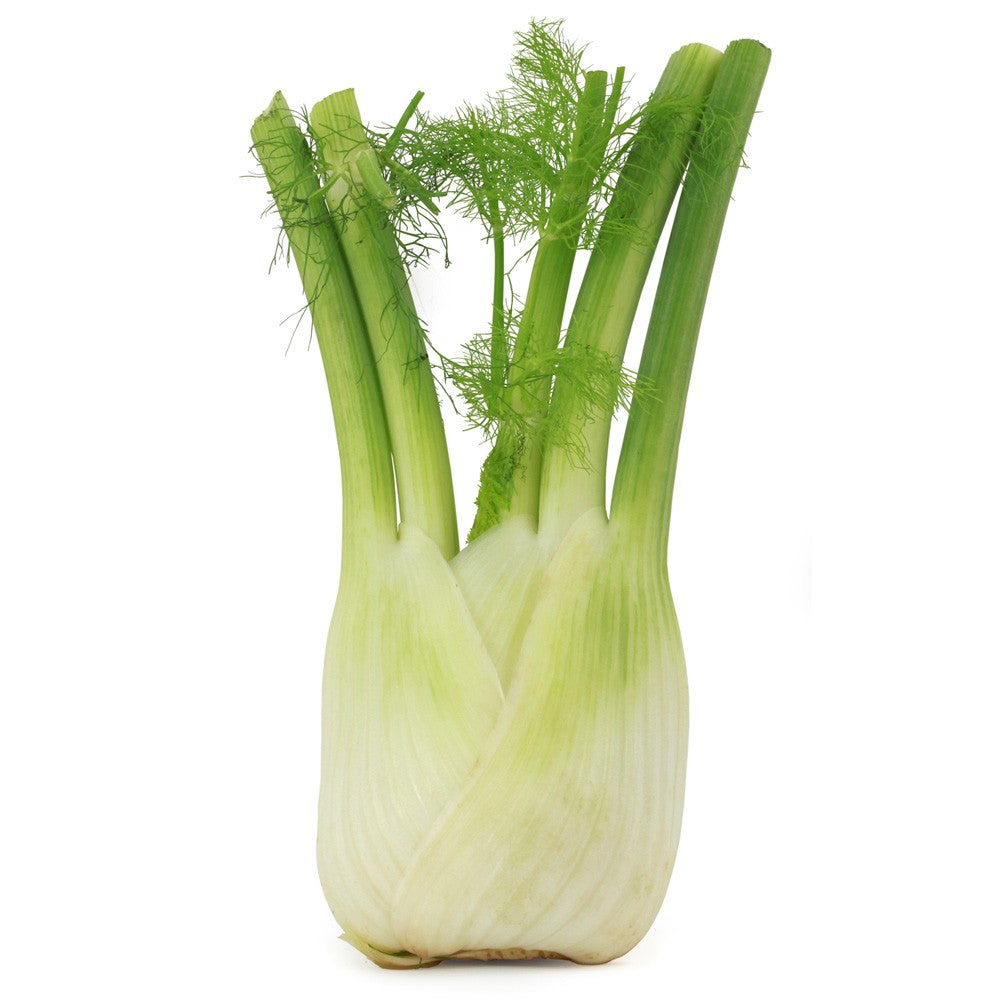Wholesale Andy Boy Case Anise (Fennel)- Bulk