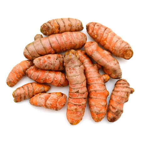 Wholesale Produce Exp Case Fresh Turmeric Root- Bulk