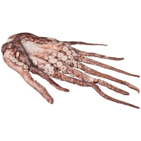 Wholesale Pesfasa Case Spanish Octopus 4-6Lb- Bulk