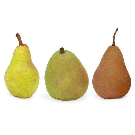 Wholesale Rainier Case Small Pears- Bulk