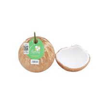 Wholesale Hamona Coconut With Straw | 12 - 16 ct- Bulk