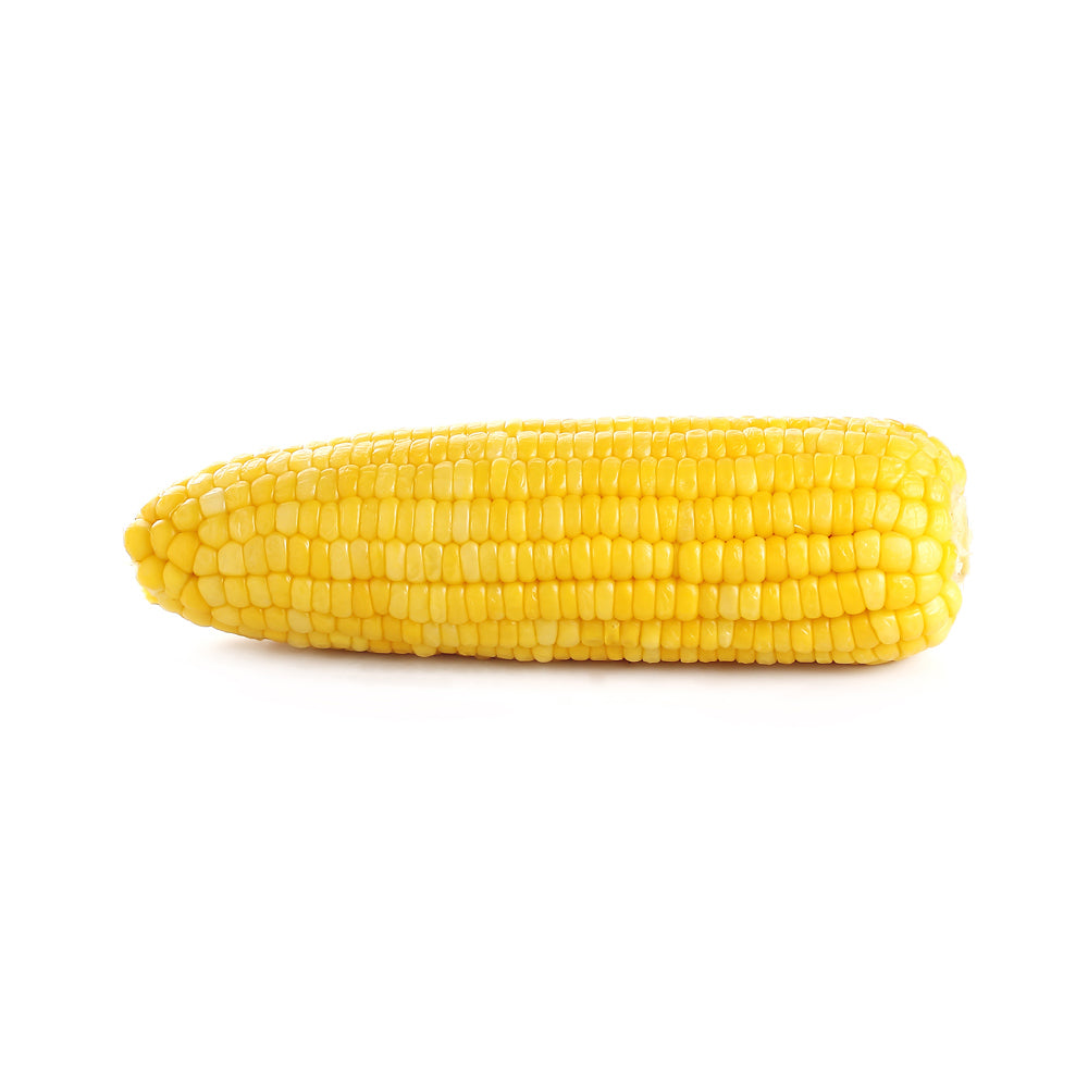 Wholesale BoxNCase Case 5.5In Frozen Corn Cob- Bulk
