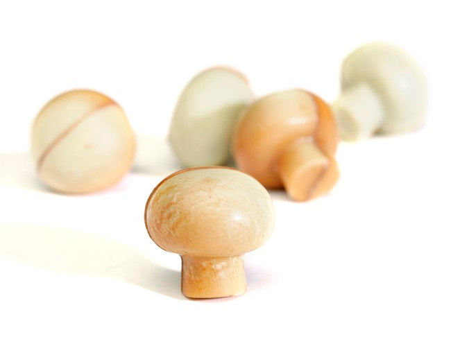 Wholesale Nirvana Bulk Case of Mushroom Shaped White and Marbled Chocolates with Praline Filling 0.58 OZ- Bulk