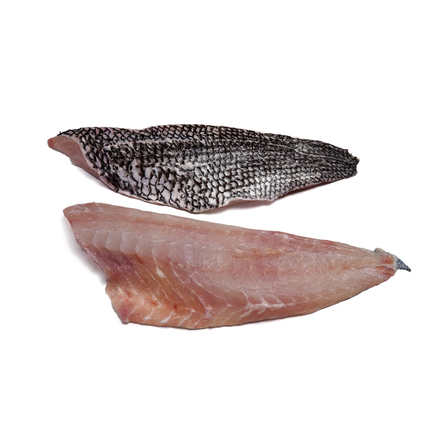 Wholesale Dix Farms Black Bass Jumbo Fillet Skin-on, 7-9 Oz 5lb- Bulk