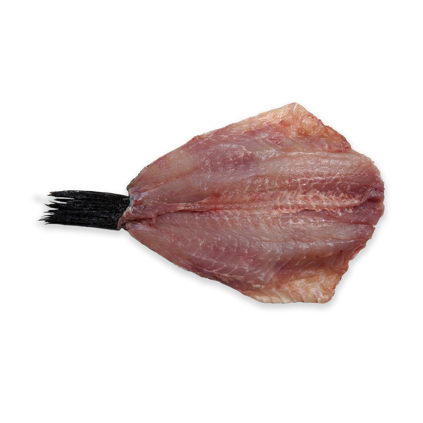 Wholesale Dix Farms Black Bass Jumbo, Butterfly 5lb- Bulk