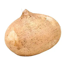 Wholesale BoxNCase Case Jicama- Bulk