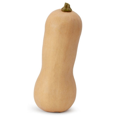 Wholesale Aceendico Case Butternut Squash- Bulk