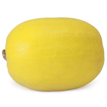 Wholesale BoxNCase Case Spaghetti Squash- Bulk