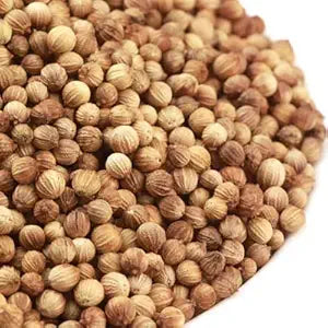 Wholesale Fresh Choice Case Coriander Seed- Bulk