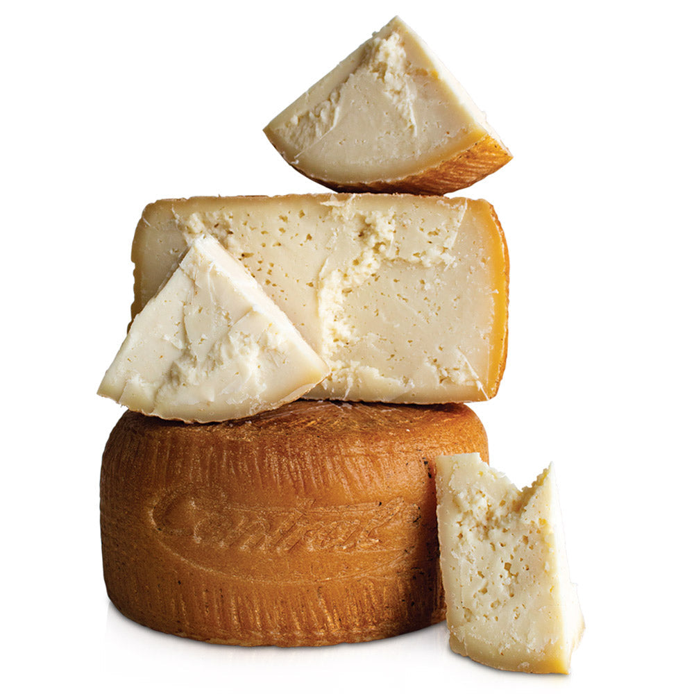 Wholesale Central Formag Each Molterno Pecorino Cheese- Bulk