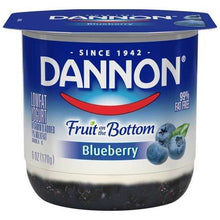 Wholesale Dannon Case Blueberry Fruit On The Bottom Yogurt- Bulk