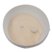 Wholesale Patisfrance Nh Pectin Nappage 1kg- Bulk