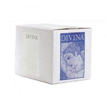 Wholesale Divina Organic Pitted Green Olives 10lb- Bulk
