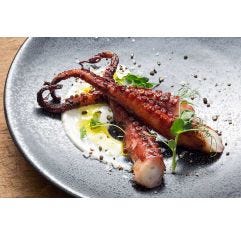 Wholesale Cuisine Solutions Octopus Poached 2.5 Lb- Bulk
