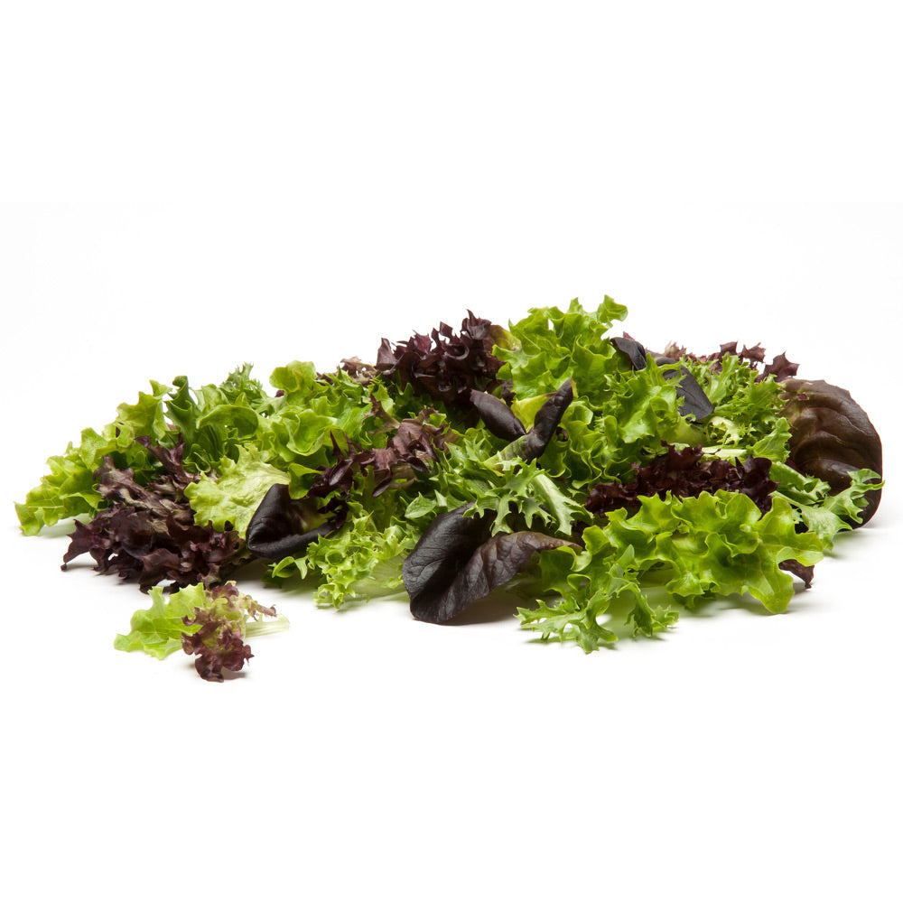 Wholesale Baby Nordic Gems | 3 lb- Bulk