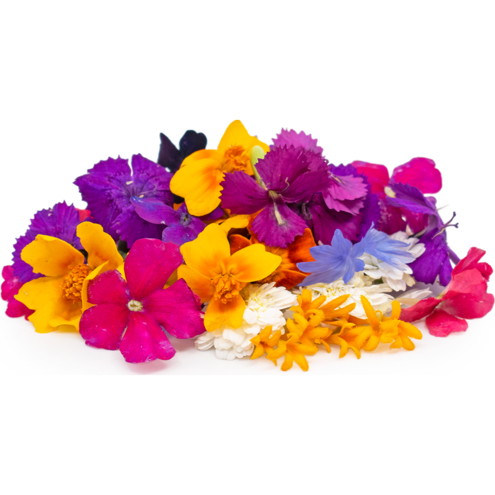 Wholesale Fresh Origins Case Micro Flower Blend- Bulk
