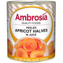 Wholesale BoxNCase Case Apricot Halves In Natural Juice- Bulk