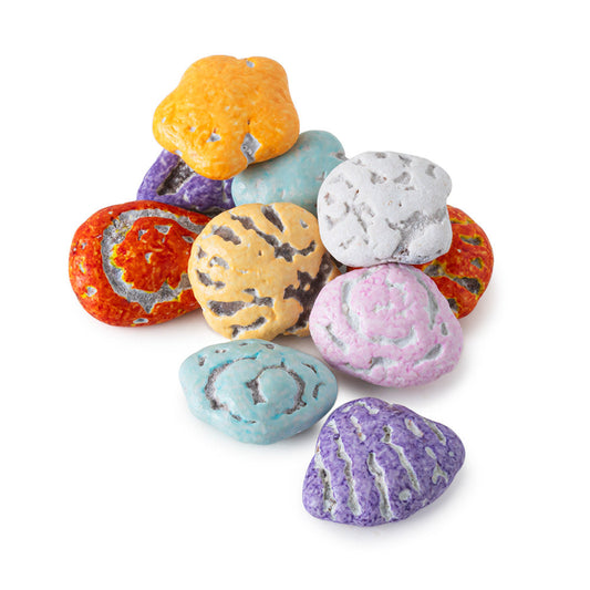 Wholesale Chocolatey Beach Seashells- Bulk