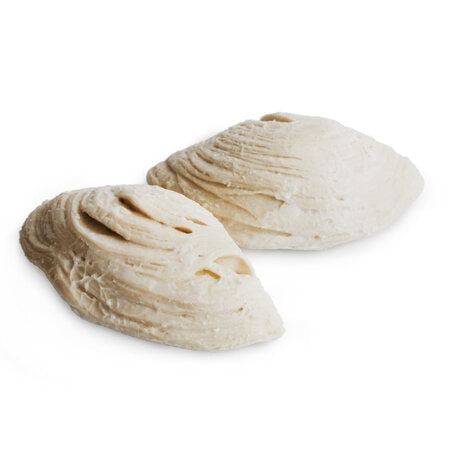 Wholesale Leonard Case Mini Frozen Sfogliatelle- Bulk