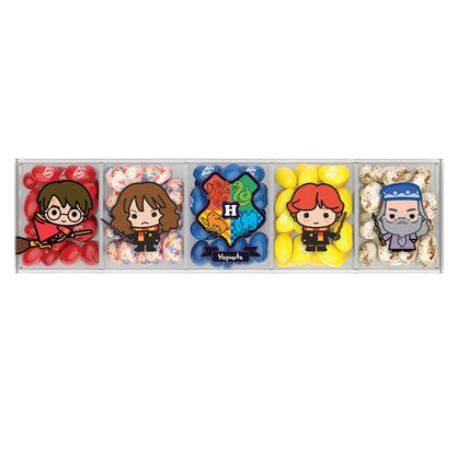 Wholesale Jelly Belly Harry Potter 5 Flavors 4 Oz Acetate Gift Box- Bulk