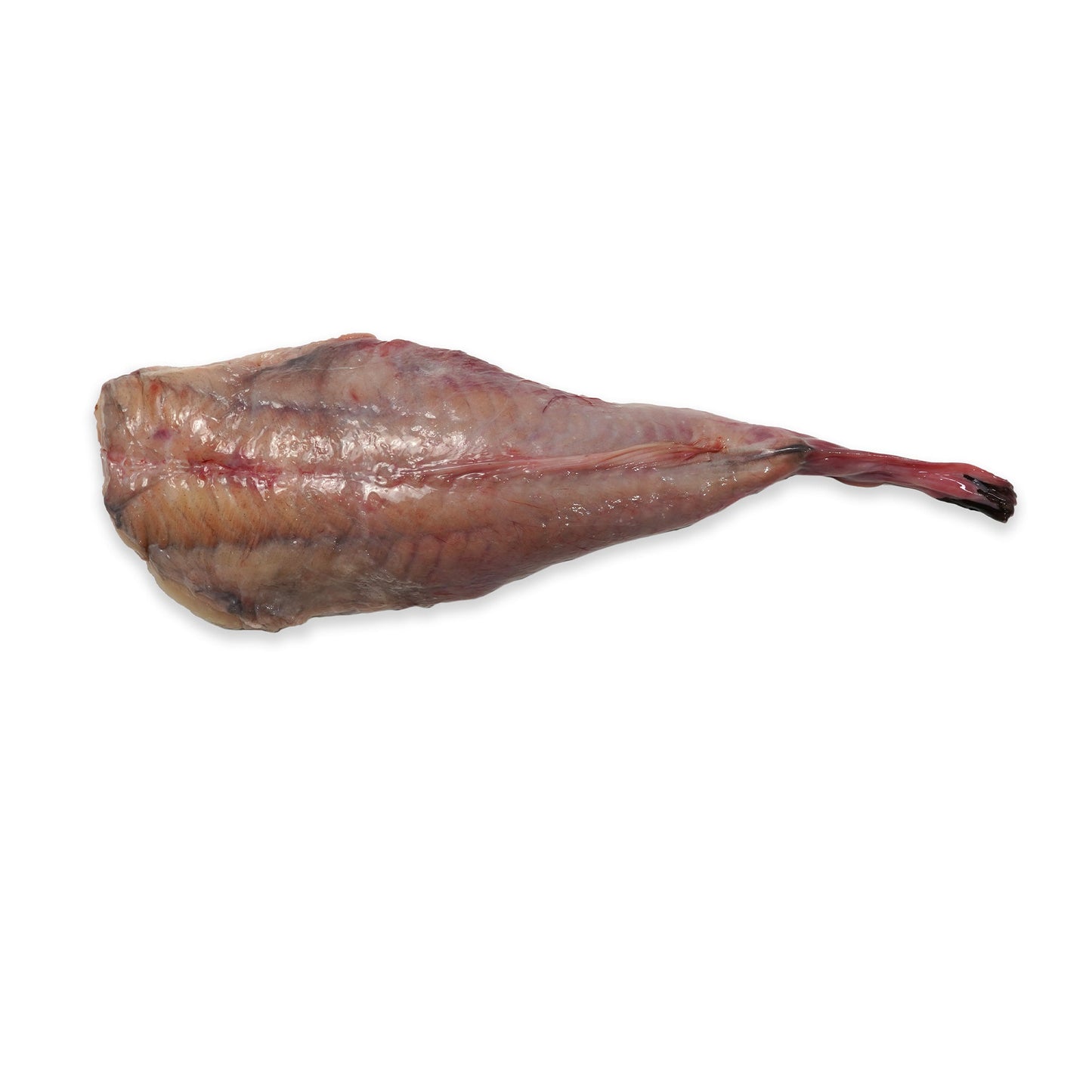 Wholesale Dix Farms Monkfish Tail Peeled 4 Lb 5lb- Bulk