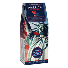 Wholesale MoMints America 250 Red, White & Blue Mini Pretzels 2.5 Oz Gable Box- Bulk