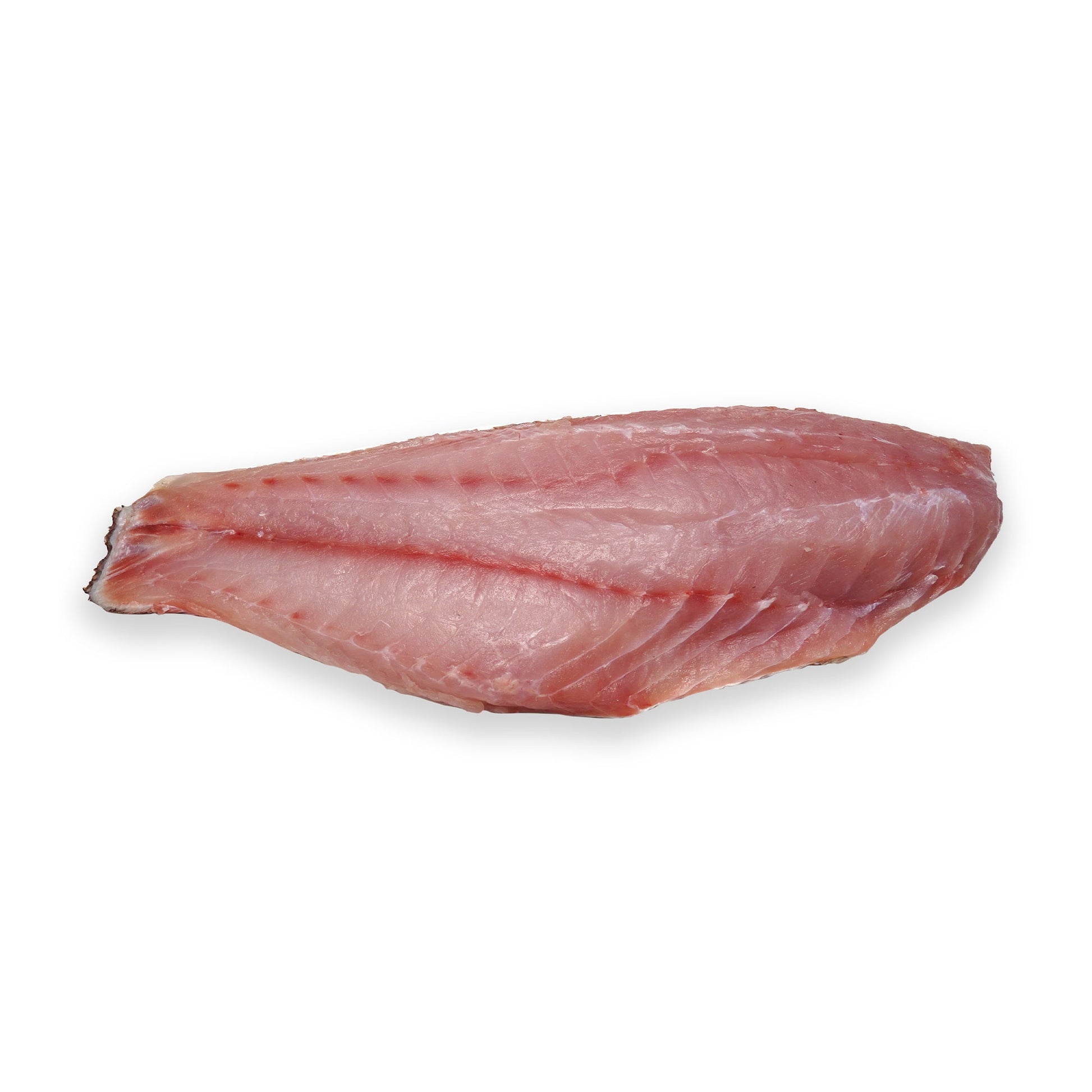 Wholesale Dix Farms Black Grouper Fillet Skin-on, 1.5 Lb 5lb- Bulk