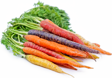 Wholesale Baby Rainbow Carrot Bunch | 24 bunch- Bulk