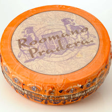 Wholesale Roomano 4 Yr (Pradera)- Bulk