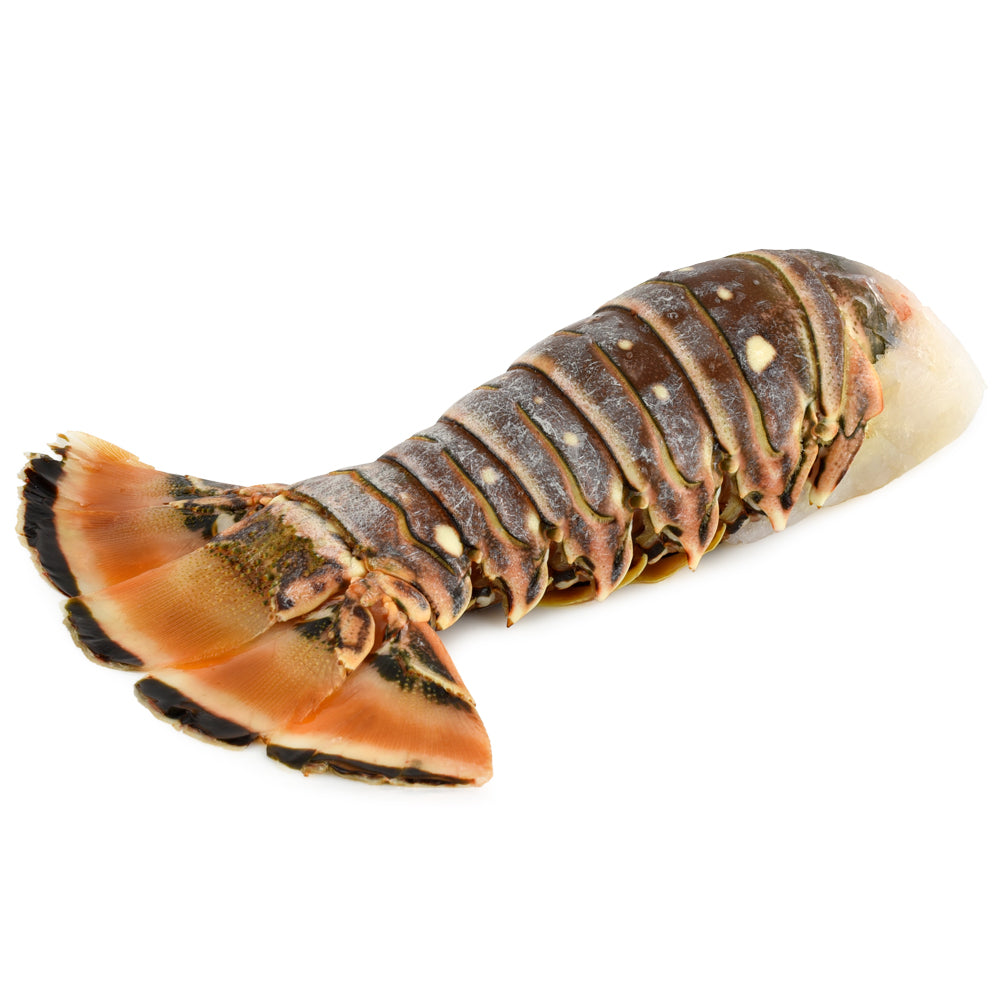 Wholesale Netuno Case 7Oz Warm Water Lobster Tail- Bulk